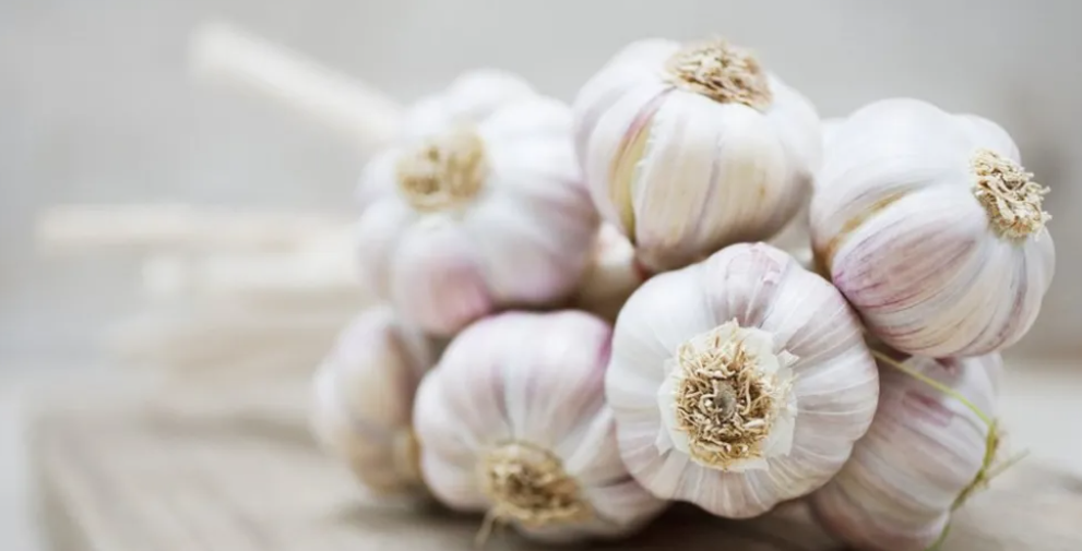 Chinese garlic is a national security risk, says US senator