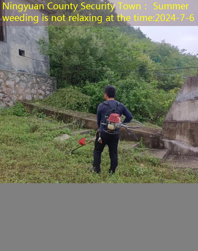 Ningyuan County Security Town： Summer weeding is not relaxing at the time